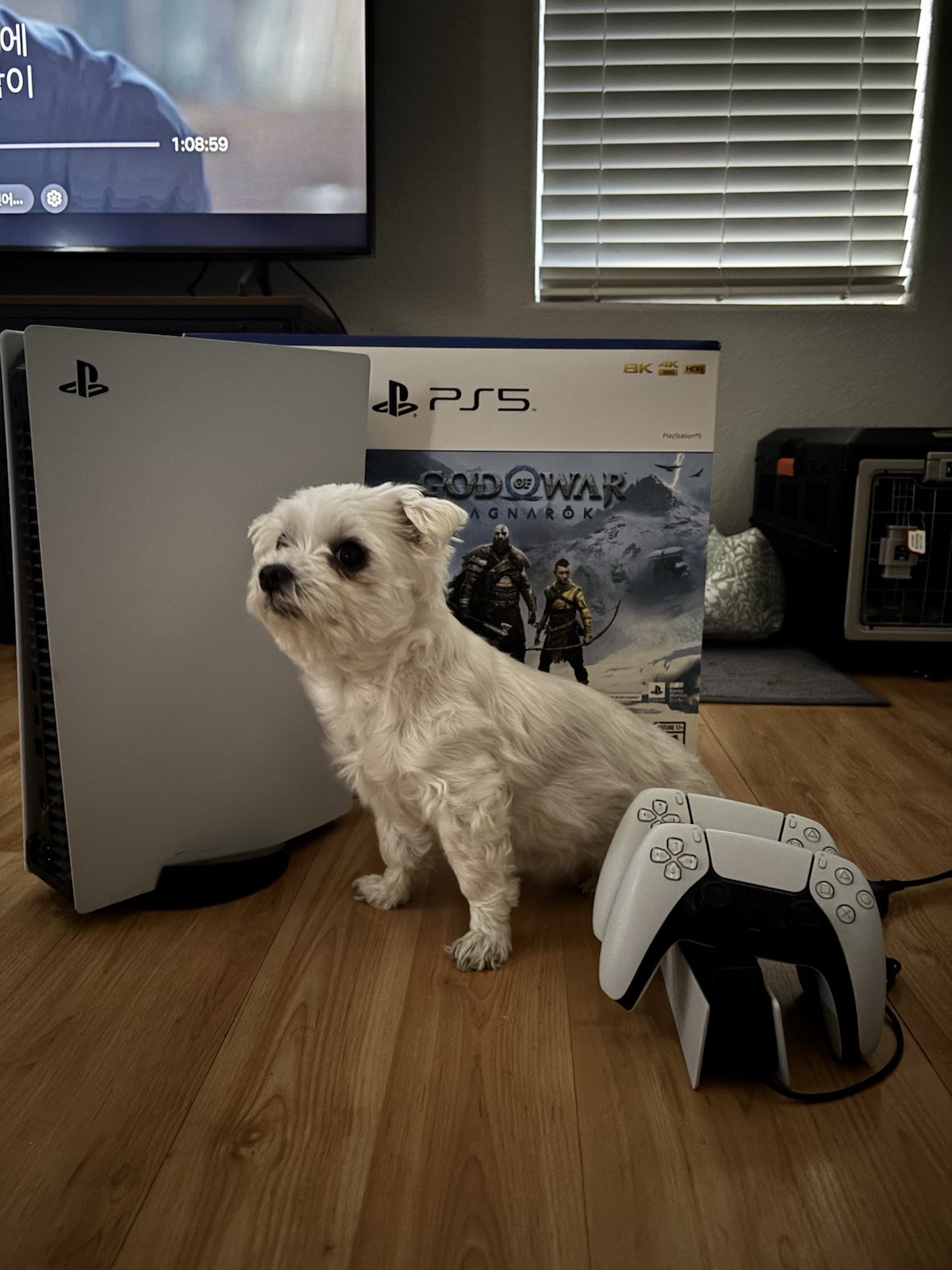 Sony PlayStation 5 PS5 God of War Ragnarok Bundle 825GB 4K HDR 2 Controllers